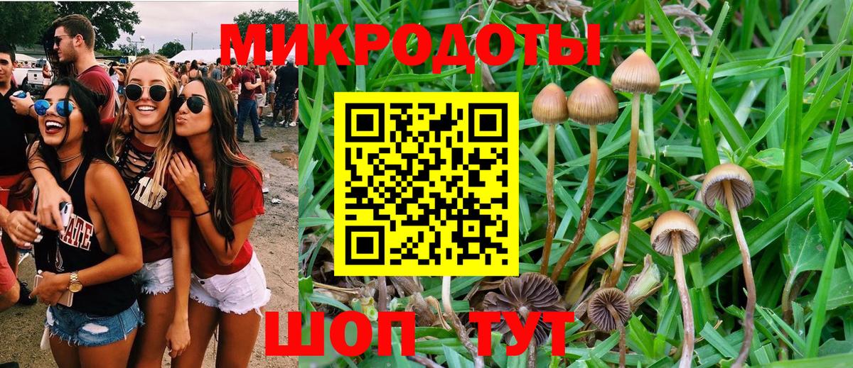 Псилоцибиновые грибы MAGIC MUSHROOMS  Вход с VPN  Ноябрьск 